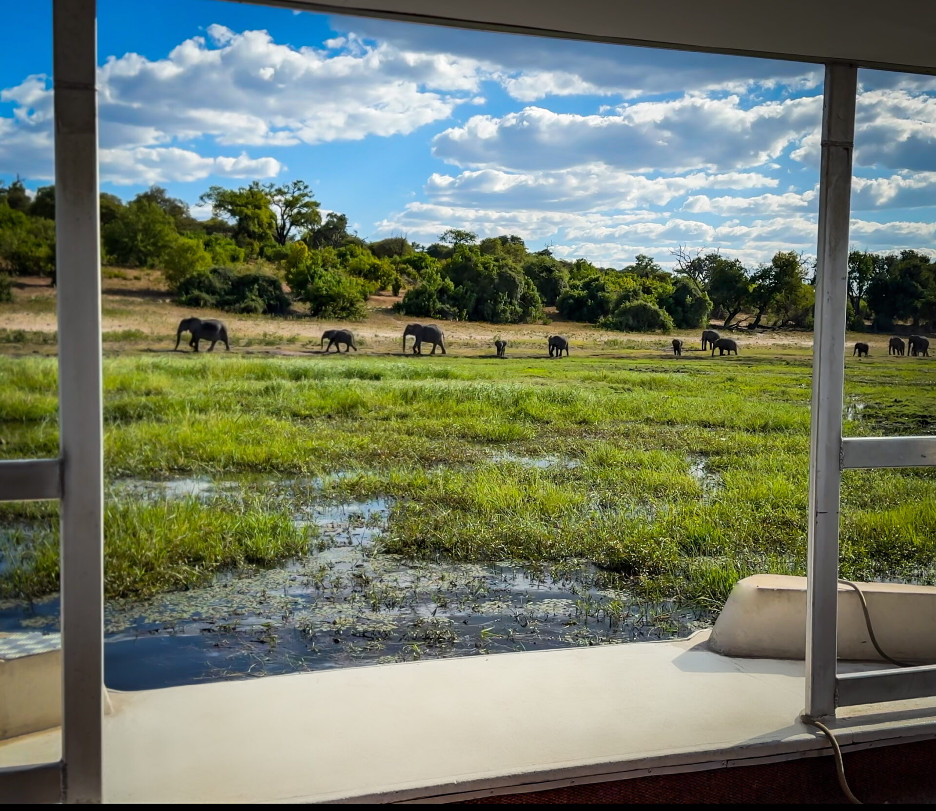 Wildlife and river landscapes in Zambia
