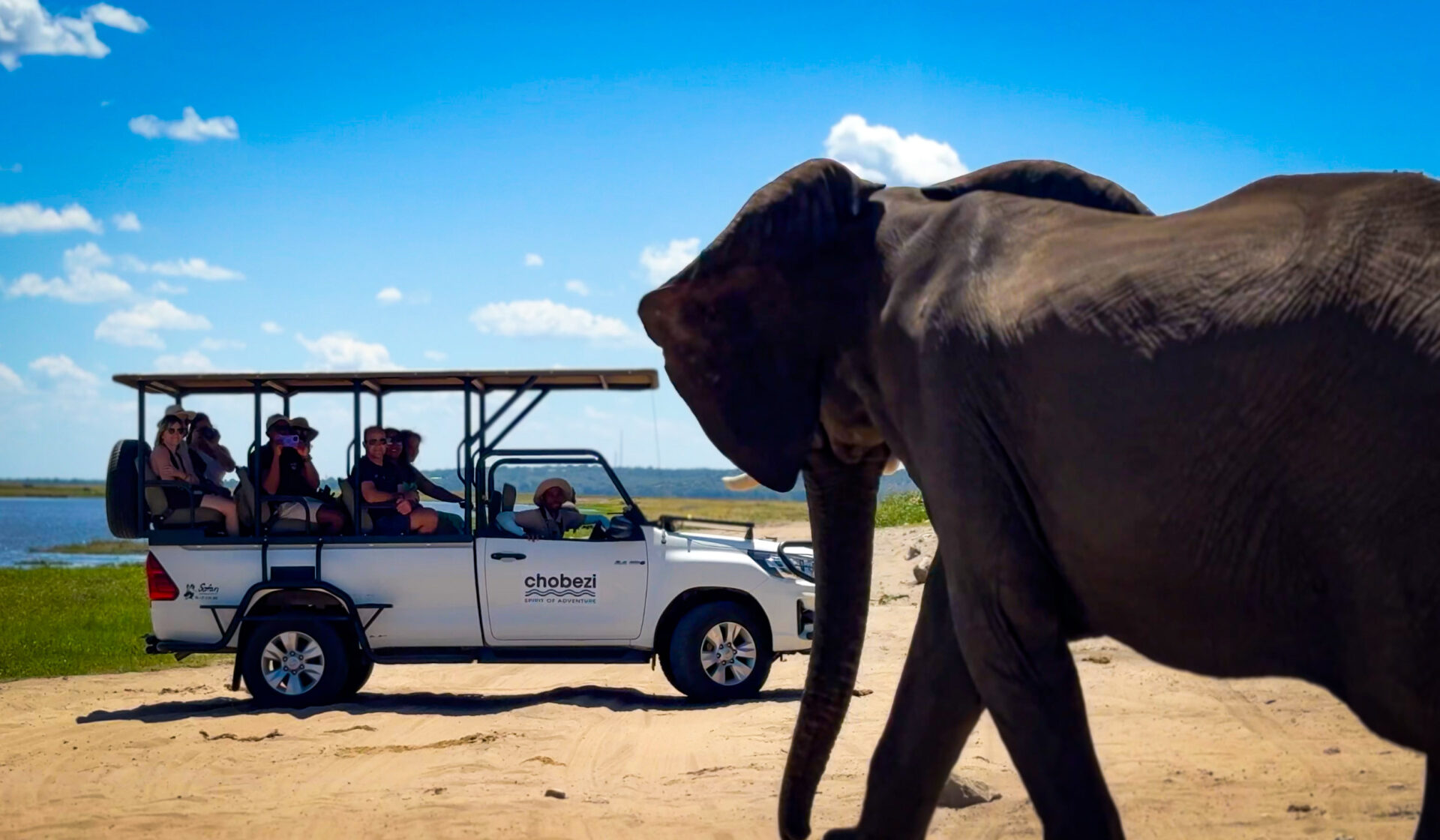 Wildlife viewing on the Chobe River