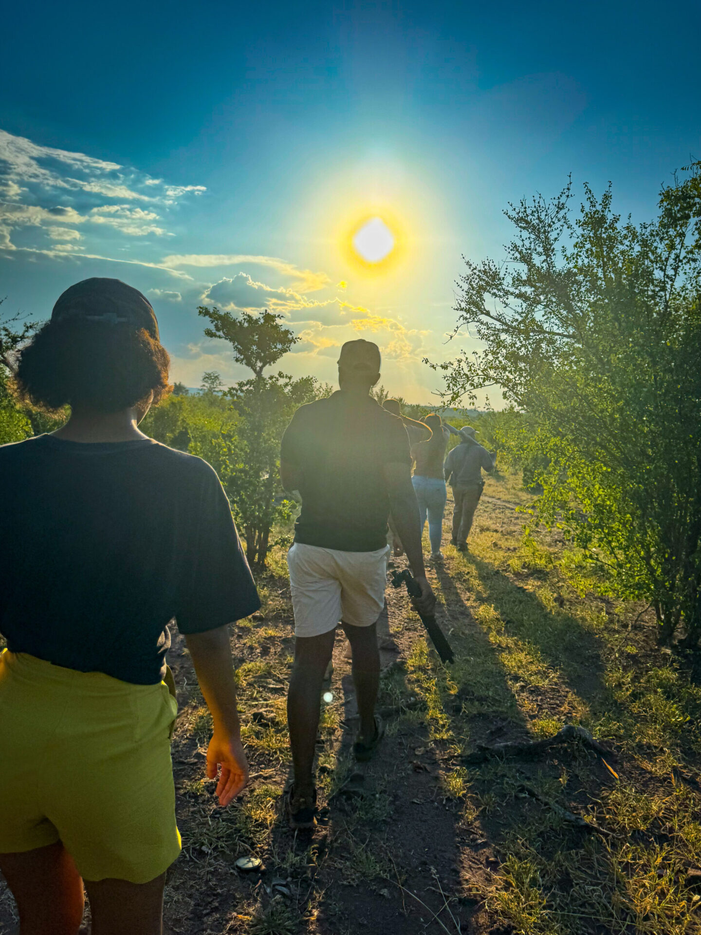 Guided bush walk safari in Southern Africa